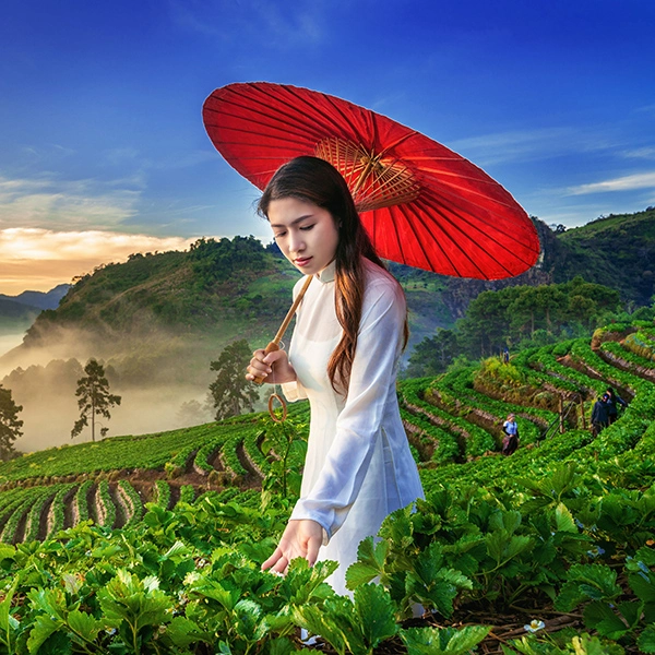 Phạm Thu Hương