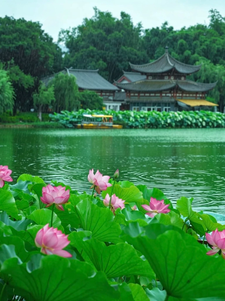 ĐẠI LÝ – CÔN MINH